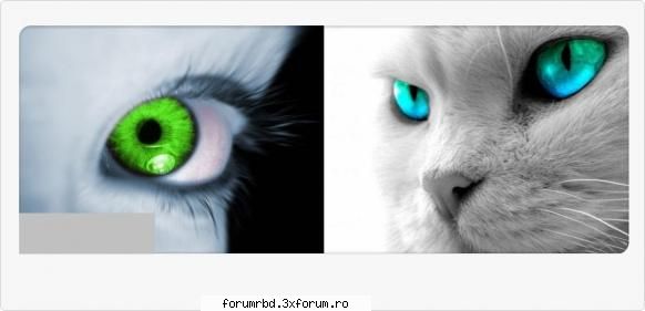 BaNnErE by xdee_x - xdee_x - Bannere
